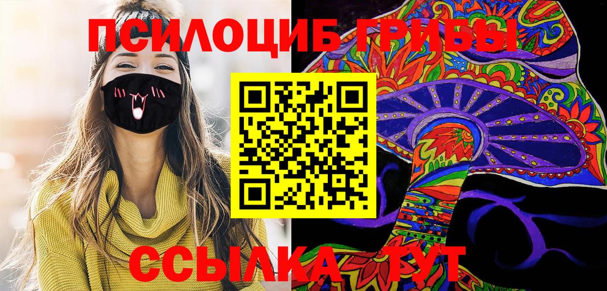 Псилоцибиновые грибы GOLDEN TEACHER  где купить наркоту  Братск  Галлюциногенные грибы ЛСД  Вход с VPN 