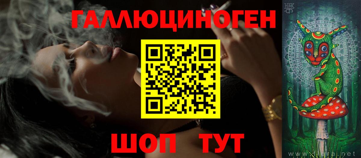 Галлюциногенные грибы Psilocybe Братск